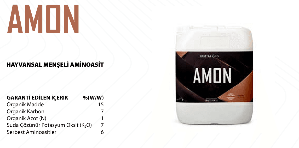 AMON