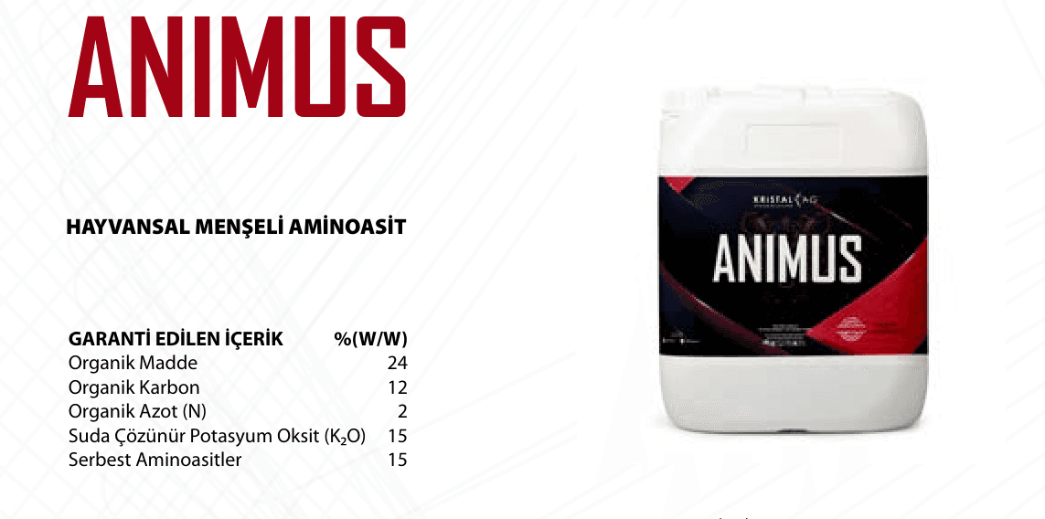 ANIMUS