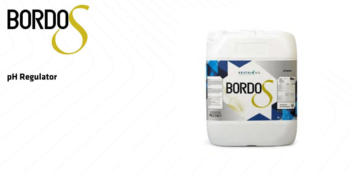 BORDO S
