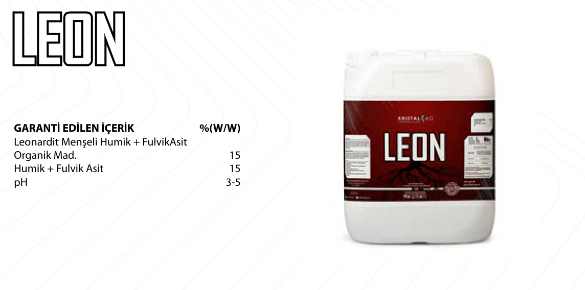 LEON