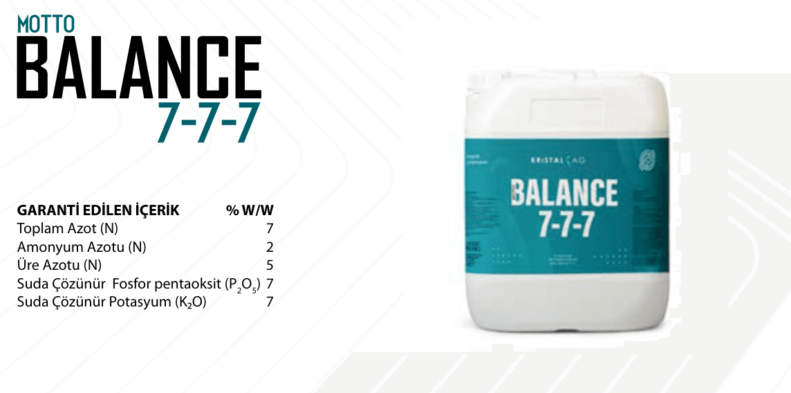 MOTTO BALANCE 7-7-7
