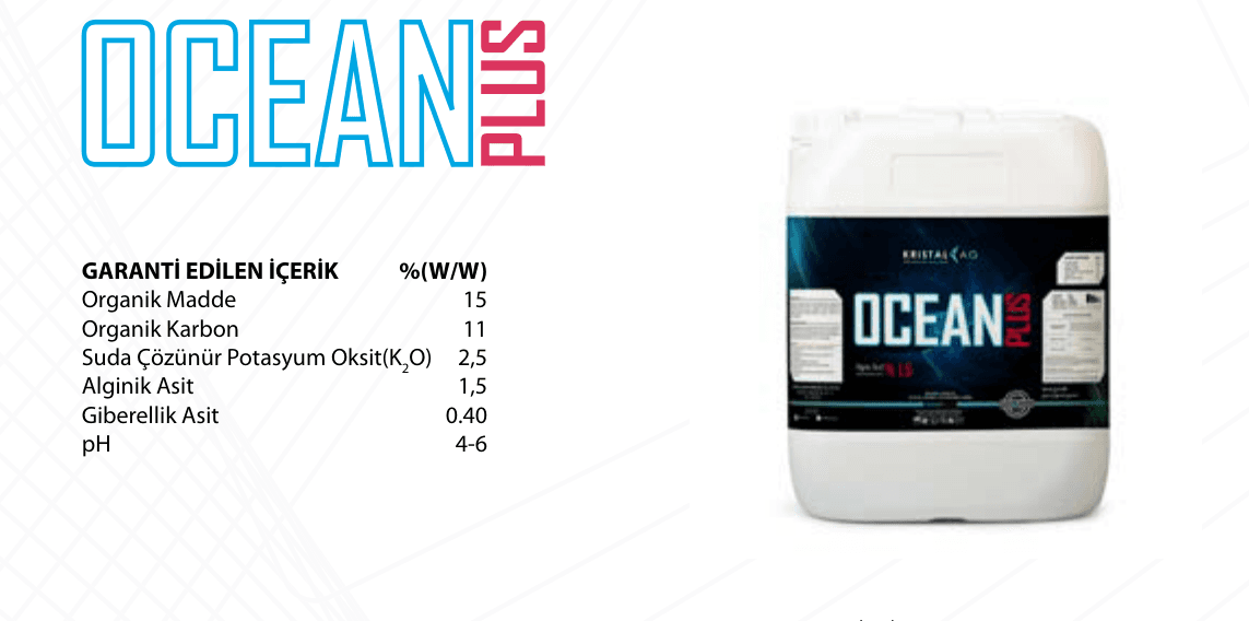 OCEAN PLUS