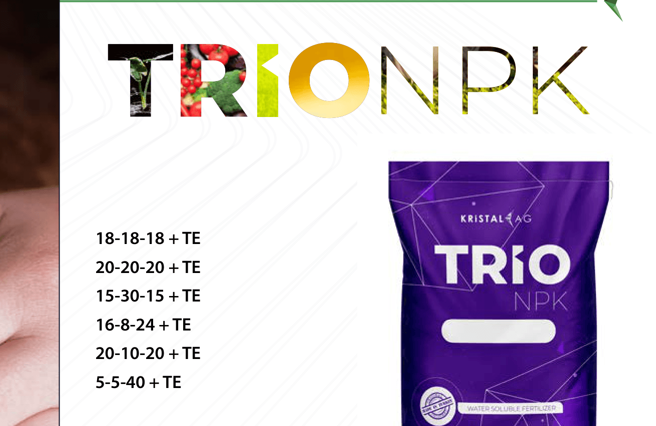 TRIO NPK 20-20-20 + TE