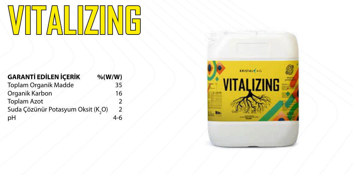 VITALIZING