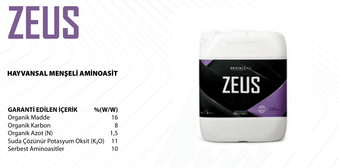 ZEUS